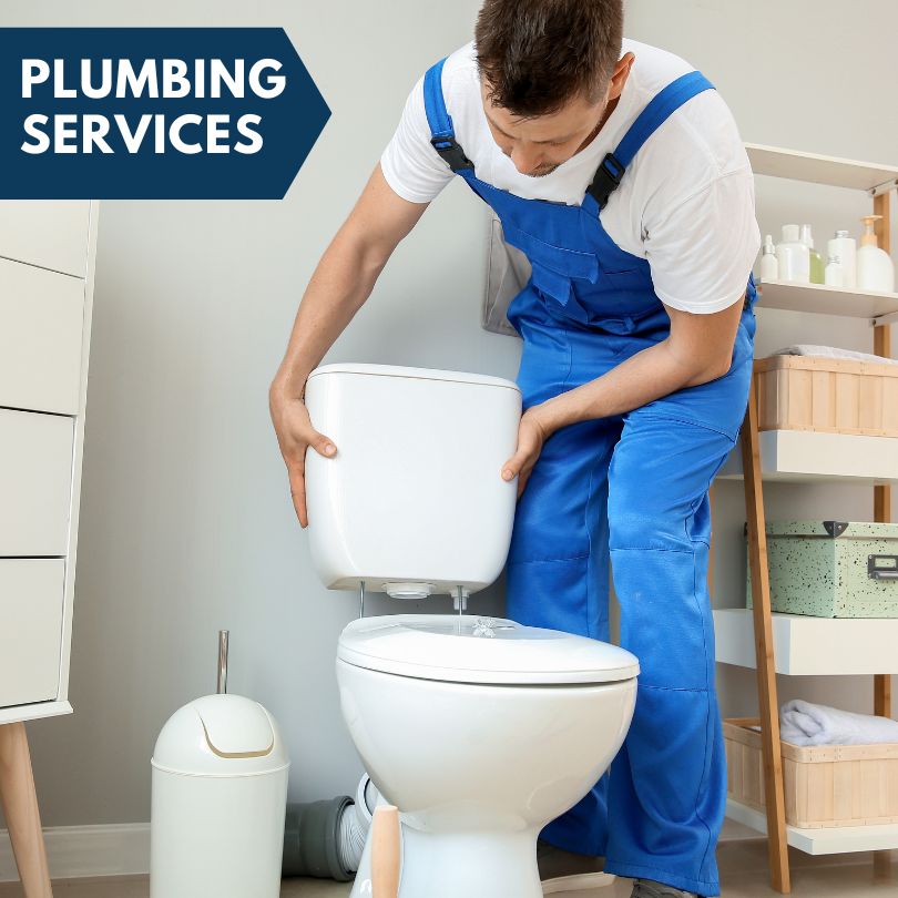 Plumbing Company in Springport, MI